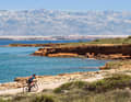 The islands off the Dalmatian coast are wonderfully peaceful in spring. Here on the island of Vir with a view of the island of Pag and the Velebit mountains