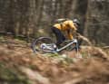 The Zesty's absolute favourite inclination: downhill!