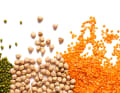 Pulses seem to play an important role in the tips of every nutrition professional. They are an important plant-based source of protein for vegans.