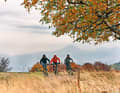 Cycle the length of the Ore Mountains: also a great idea for a one-week stage tour. Possible from spring to autumn.