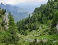 This mountain was also soaked in blood during the mountain war: Monte Pasubio with its trail from the Bocchetta dei Foxi.