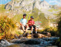 An insider tip for which you have to leave your bike at the Starklalm: the Wieser Werfer biotope.