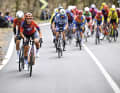 Attack-happy: Mona Mitterwallner (front) shows her ambition in the Human Powered Health jersey Ambition on the road too.