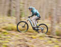 Best of Test 2025: Die besten Power-E-MTBs aus diesjährigen BIKE-Tests