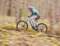 Best of Test 2025: Die besten Power-E-MTBs aus diesjährigen BIKE-Tests
