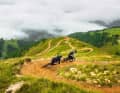 Marble run alarm! In Sölden, a number of routes swing their riders from curve to curve. Ideal for beginners and families. Of course, there are also more challenging routes.