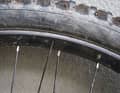 However, I was disappointed that the WTB rear wheel lost its first spokes after just 300 kilometres.