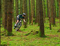 It doesn't get any greener than this: the Kelheim region opens up a large playground in the forest for trail bikers.