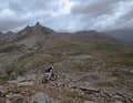Mondlandschaft mit Trail-Kurvenmeer oberhalb des Passo di Gavia.