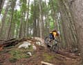 Rupert-Trail im Super-Bikespot Squamish: Makke merkt sich: natürliche Hindernisse nicht wegräumen - einbauen!