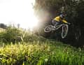 Best of Test 2025: The best freeride/downhill bikes from BIKE tests