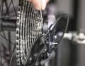 The wrap screw responsible for this is located close to the derailleur hanger.