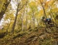 Im BIKE-Test: Elf Wettertrikots für die Übergangszeit