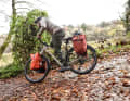 Für Radfahrer besteht keine Winterreifen-Pflicht. Im Herbst kann sich ein Reifenwechsel am Fahrrad trotzdem lohnen.