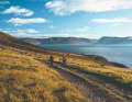Is this perhaps the most beautiful gravel route in the world? Around the Westfjords peninsula in north-west Iceland in eight days.