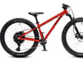 Lightweight and affordable: these attributes make the children's mountain bike from Roko.Bike particularly interesting.