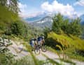 The new Giro del Vino 50 connects various valleys with the best wineries in the region.