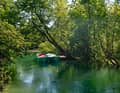 A canoe tour on the Livenza River offers a change of pace: free excursions in small boats are offered on summer weekends to get to know the natural environment in which prehistoric man lived.