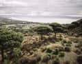 The La Balu Trail runs through the largest cork oak forest on the Iberian Peninsula.