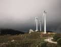 Just a 500-metre climb, then the La Balu Trail starts at the wind turbine at the back.