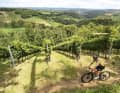 Gravel-Paradies Südsteiermark: Die malerische Hügellandschaft ist nicht das einzige Plus für engagierte Gravelbiker. Das milde Klima, das diese einzigartige Kulturlandschaft an der  Grenze Österreichs zu Slowenien prägt, ermöglicht auch eine lange Aktiv-Saison für Radbegeisterte.