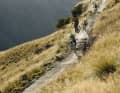 Die Trails in Glendhu-Bikepark sind mit viel Liebe entstanden, Fahrspaß steht an vorderster Stelle, die Landschaft tut ihr Übrigres dazu.
