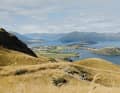 Wanaka: 400 Höhenmeter bergauf. Bergab verliert sich der Trail in unfassbarer Weite und fühlt sich deutlich länger an.