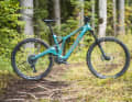 Forestal Siryon Neon