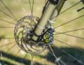  With four pistons and plenty of power, the Magura MT7 contributes to the high feeling of control downhill.  