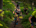 Most of the route runs above the tree line. Sometimes, however, the panorama is hidden behind trees.