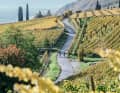 In Südtirol ­befinden sich ­einige der schönsten Weinregionen überhaupt – ideal für Radfahrer.