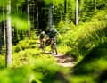 Germany's highest low mountain range is actually the land of forbidden trails. Only not here. That always comes to mind while you're cruising through the forest.