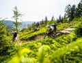 Der legale Trail ist das Ziel: Drei Tage durch die Wälder zwischen Baiersbronn und Sasbachwalden - mehr braucht man eigentlich nicht.