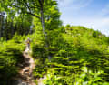Im Schwarzwald, speziell rund um Baiersbronn gibt es für Trail-Fans ein paar gute Routen und Trekkingschlafplätze im Wald mit Feuerstelle.