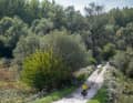 Somewhere behind the trees flows the Drau.