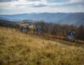 Everything legal: unlike in the Black Forest, bikers in the Vosges can let off steam as they please. The area guide from page 102 