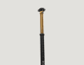 Die Factory-Variante der Transfer SL leuchtet unverkennbar im Gold-Look des Kashima-Coatings.
