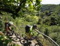 On the very first day, it's all uphill. The railing protects you from the free fall.
