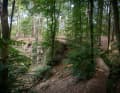 The slate walls in the forest provide fun and extra metres in altitude.