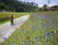 Das Grüne Band rund um Bern führt vorbei an traditionellen Bauernhöfen und Feldern voller Mohn und Kornblumen.