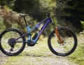 The top-of-the-range Elyte Evo Stag Works model costs 10,999 euros.