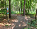 Straight ahead in blue, round to the right - following the red arrow - it gets more difficult