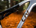 The horizontal rear shock has been moved upwards to create space for two bottle cages.