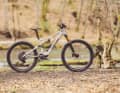 Light, strong, versatile: the Amflow PX Carbon Pro is a bike that can do a lot and is significantly sportier and more powerful than its predecessor.