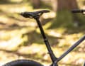 Despite its favourable price, Canyon equips its hardtail with a retractable seatpost. The geometry is modern.