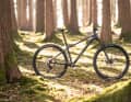 The Canyon Grand Canyon is the defending champion with a new frame in the duel of affordable MTB hardtails.