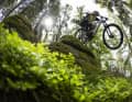 YT DECOY X CORE (Lineup): Four speeds, one motor - the Avinox M2S with 150 Nm and 1,300 watts is fitted to every bike in the new CORE range, from the € 4,499 entry-level model to the € 7,499 top-of-the-range model.