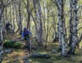Even further down, where the panorama briefly diminishes, it doesn't get visually boring.