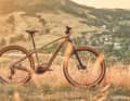 Slim outline: Trek has succeeded in integrating the rather large Bosch Active Line Plus compactly in the bottom bracket area. The permanently integrated Bosch Compact Tube battery with only 400 watt hours enables a slim down tube.