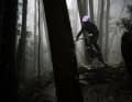 This makes you clearly visible in the forest even in fog - Hyper Violet!